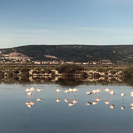 Flamants Roses 1 Pers 6 Frontignan Zewnętrze zdjęcie