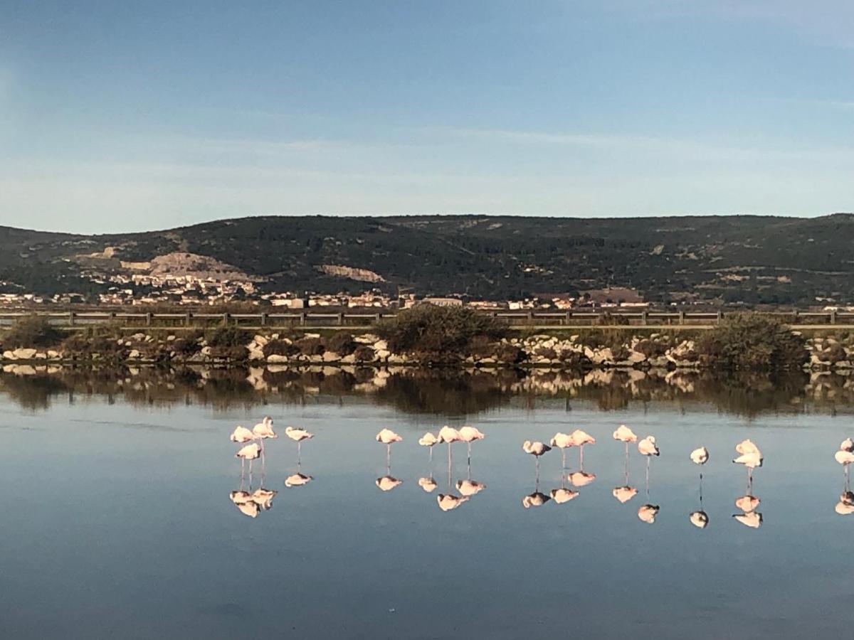 Flamants Roses 1 Pers 6 Frontignan Zewnętrze zdjęcie